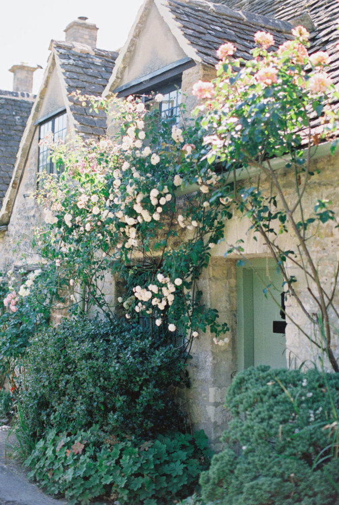 Climbing roses over the doorway of a home in the town of Bibury, in the Cotswolds England