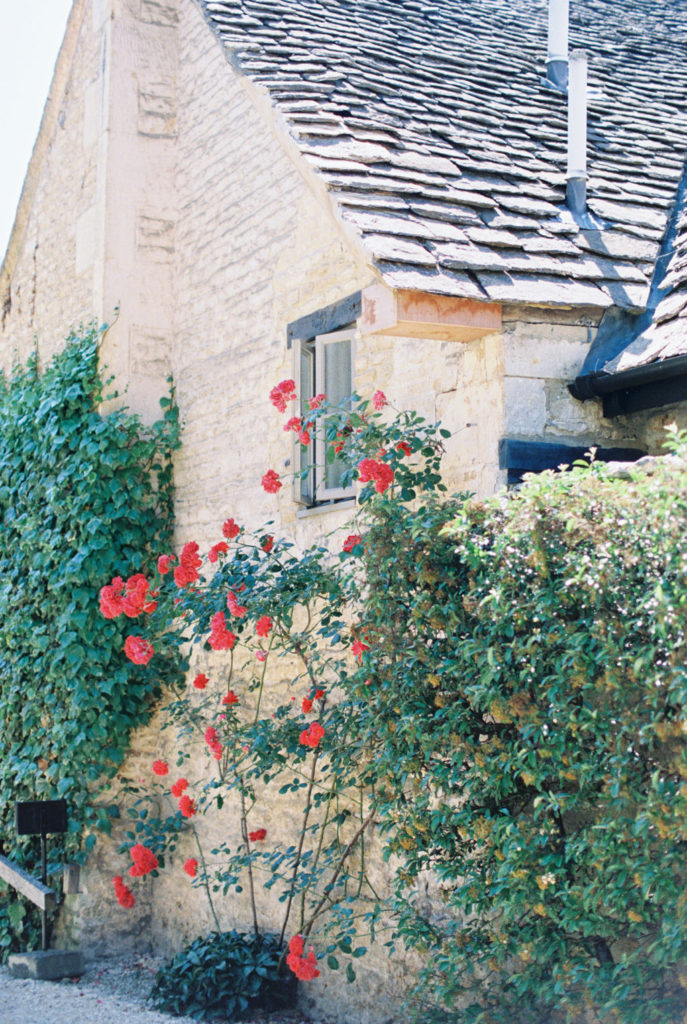 Red climbing roses on a home in the village of Castle Combe, in England